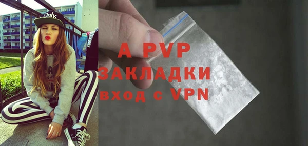 крисы Белокуриха