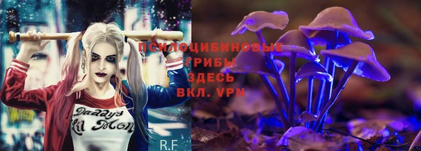 молекула духа Аркадак